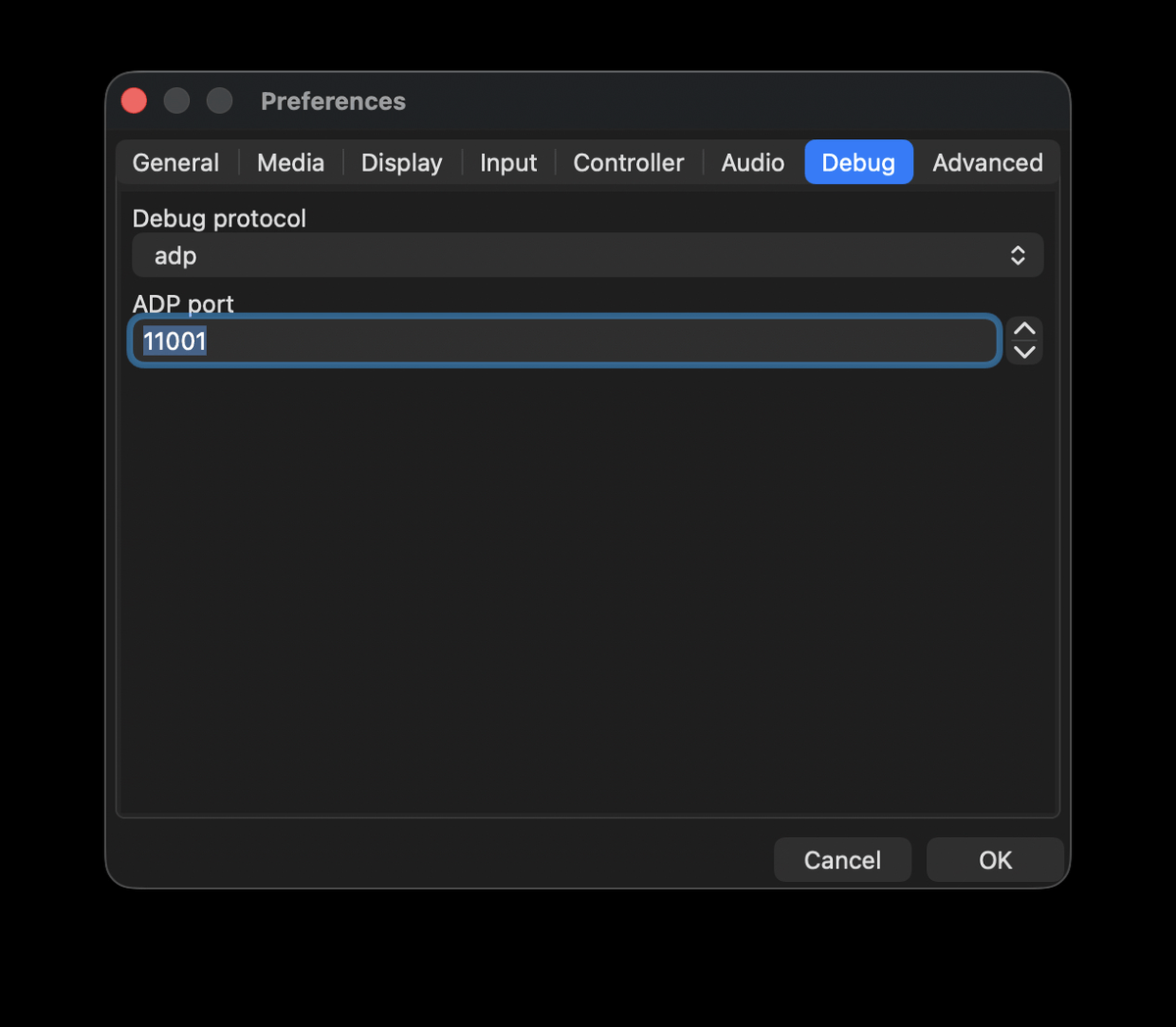 Preferences — Debug tab